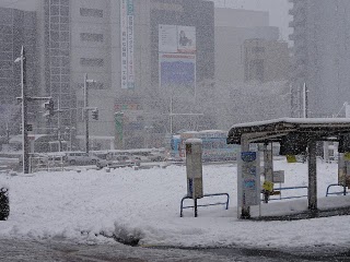 DSC04270.jpeg