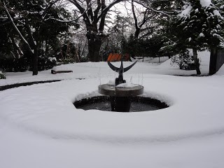 DSC04311.jpeg